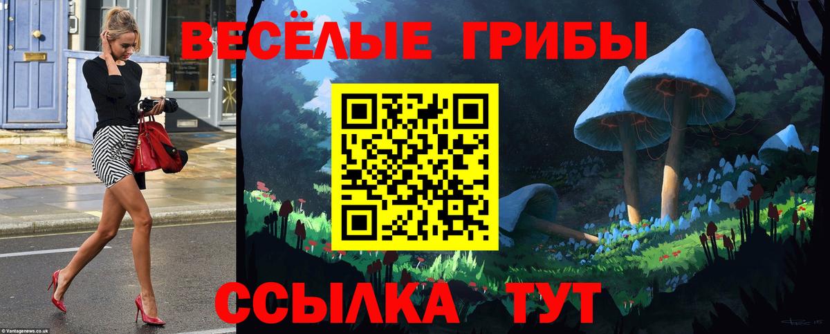 Псилоцибиновые грибы Psilocybine cubensis  Псилоцибиновые грибы Psilocybe  Вход с VPN  Тобольск 